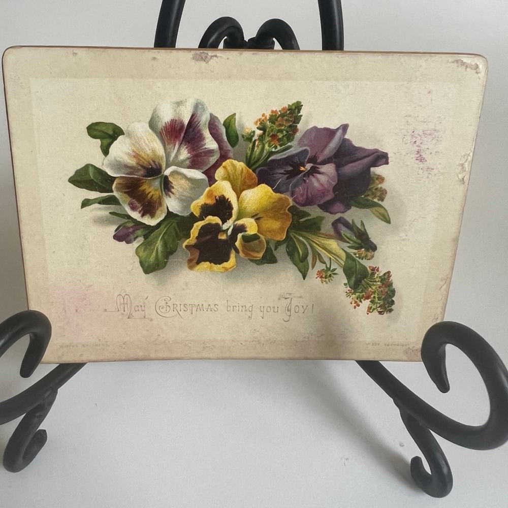 Pansy antique postcard